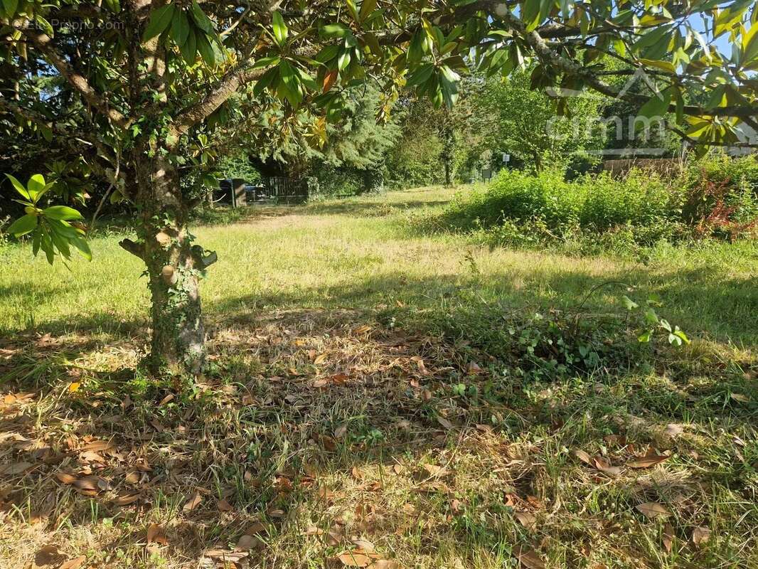 Terrain à SAVONNIERES