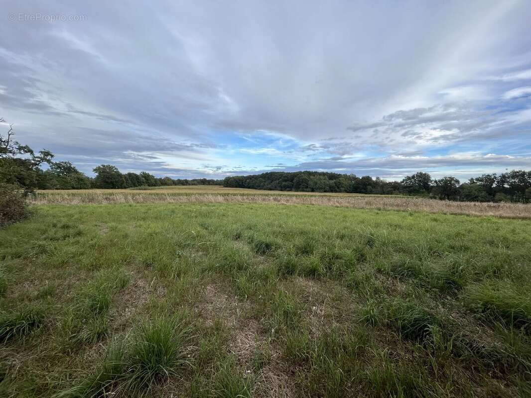 Maison à CONDEISSIAT