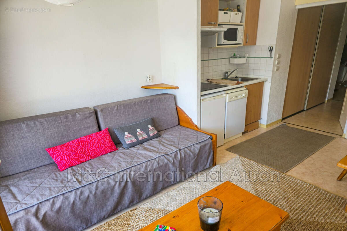 Appartement à SAINT-ETIENNE-DE-TINEE