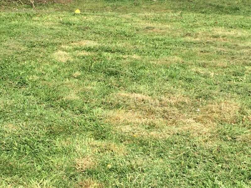 Terrain à CROISY-SUR-ANDELLE