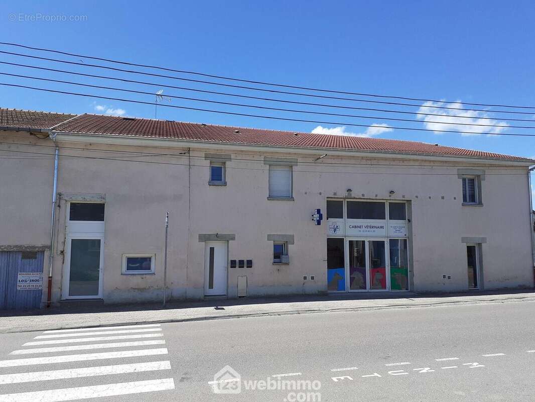 Immeuble avec cabinet vétérinaire en RDC suivi de 4 logements à l'étage - Appartement à SOUILLY