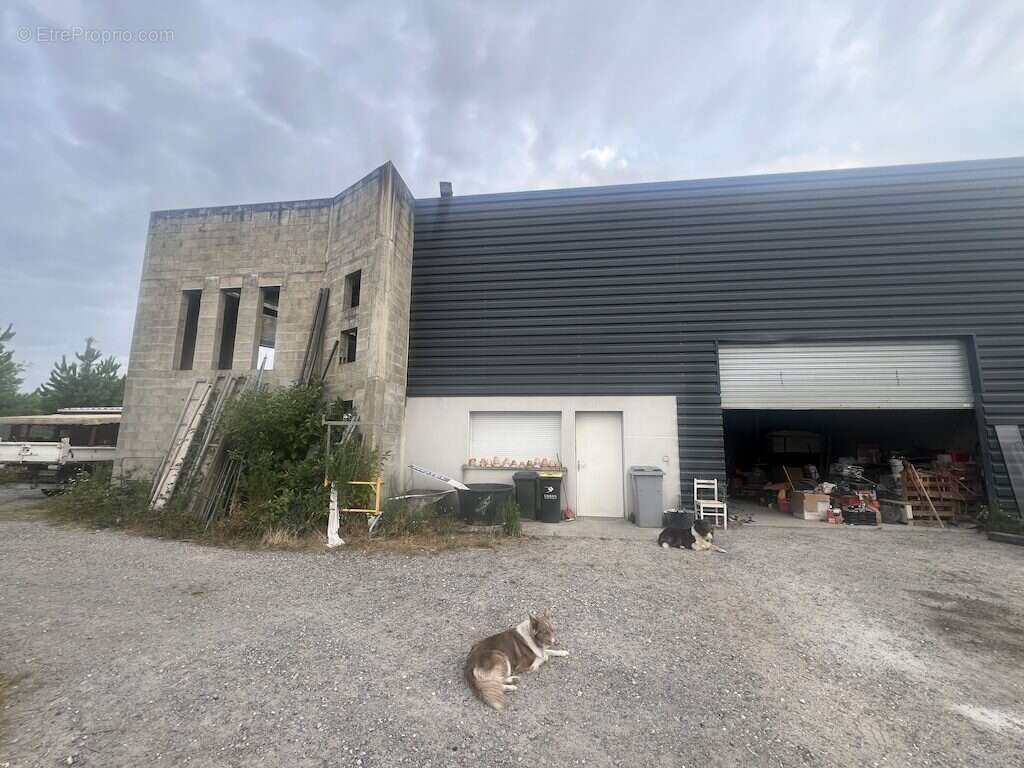 Commerce à BISCARROSSE