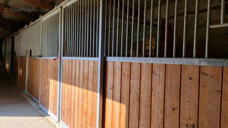 Photo 4 - Terrain à SAINT-GOBAIN