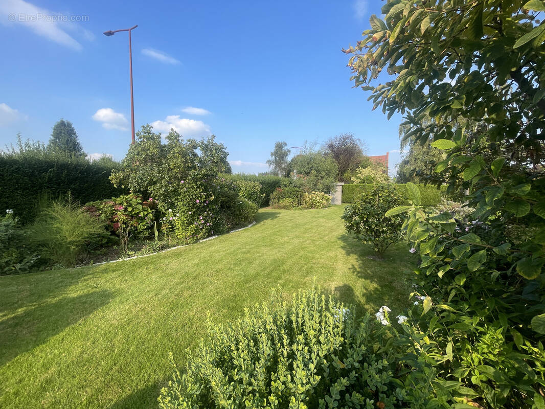Terrain à CAMPHIN-EN-PEVELE