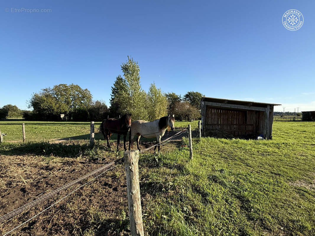 Centre équestre complet (Tarn-Occitanie) - photo 13