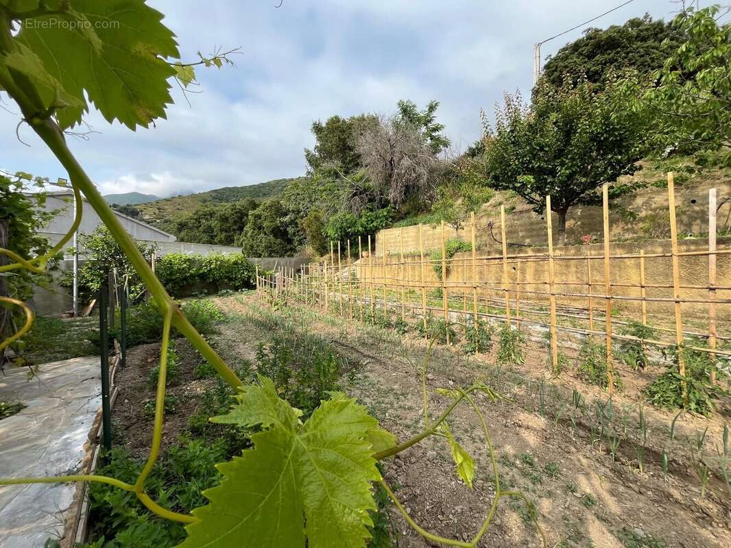 Maison à PATRIMONIO