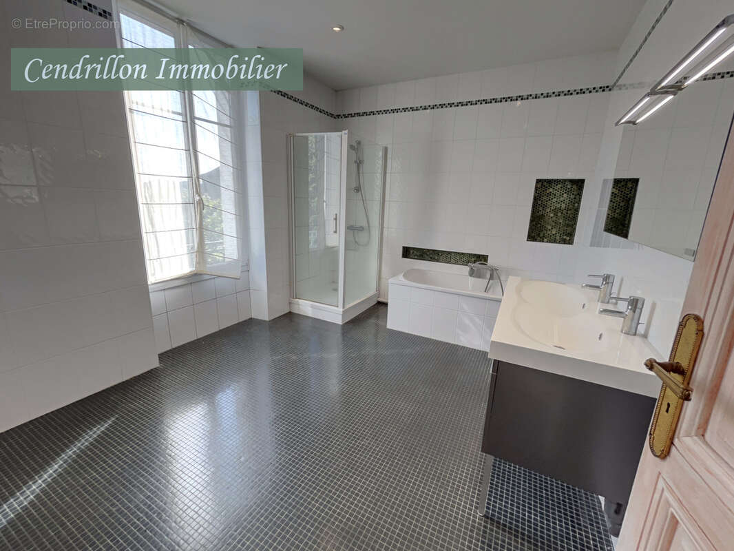 Belle maison bourgeoise entièrement rénovée, 350m2 habitables,  sur son parc de 4000m2 au cœur de la ville - photo 21