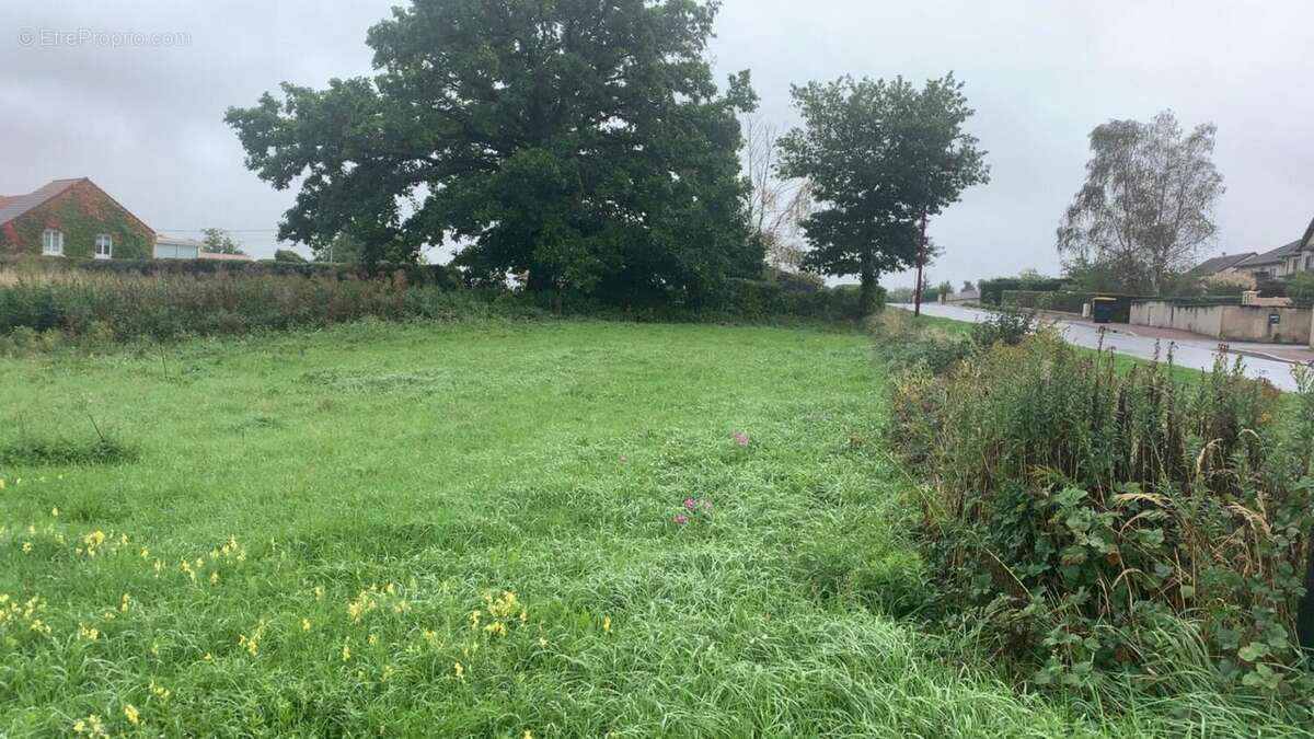 Photo 4 - Terrain à CHAMBLET