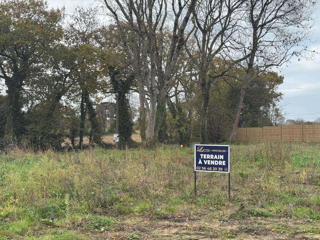 Terrain à CLOHARS-CARNOET