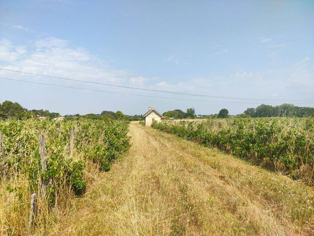 Terrain à SAINTE-EULALIE