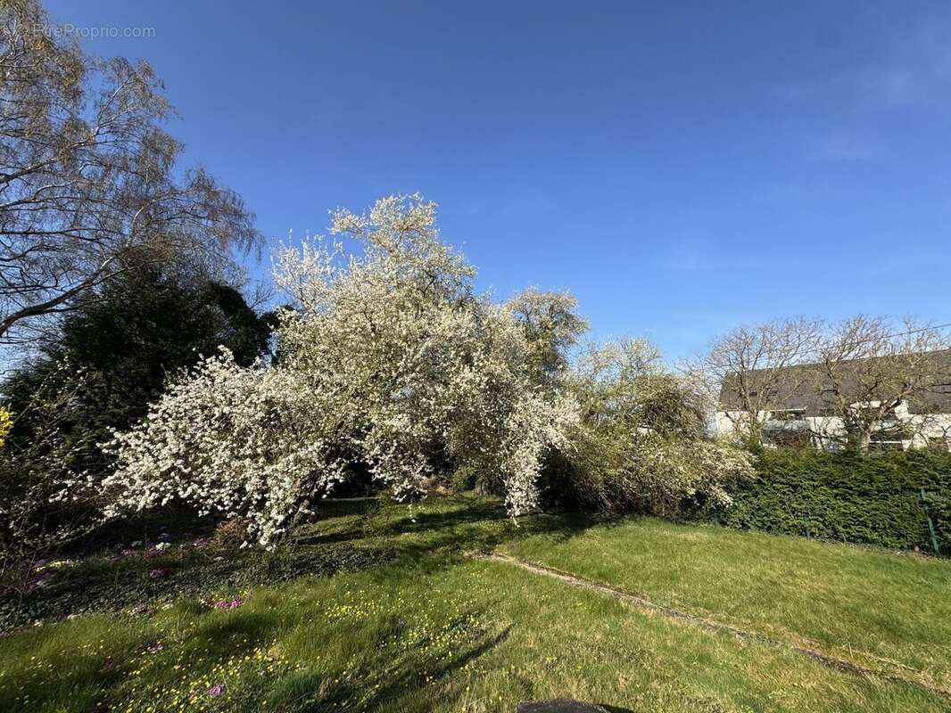 Terrain à REICHSTETT