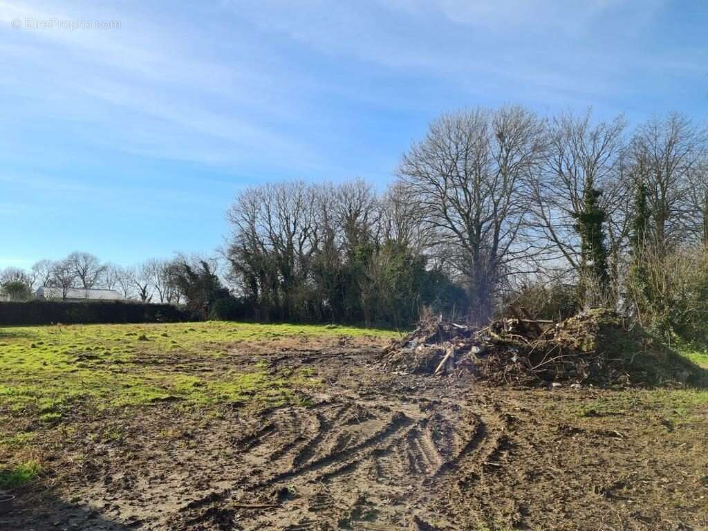 Maison à WIERRE-EFFROY