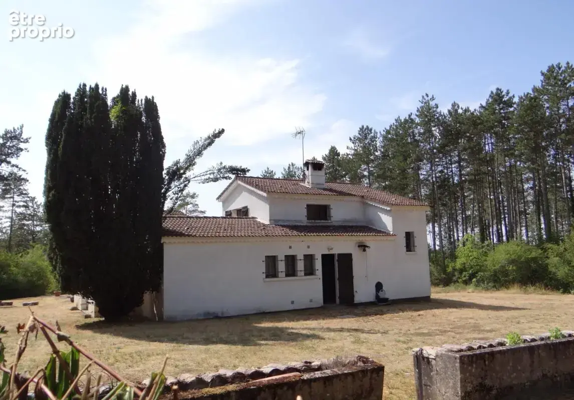 Petit Paradis ! (52) - photo 2