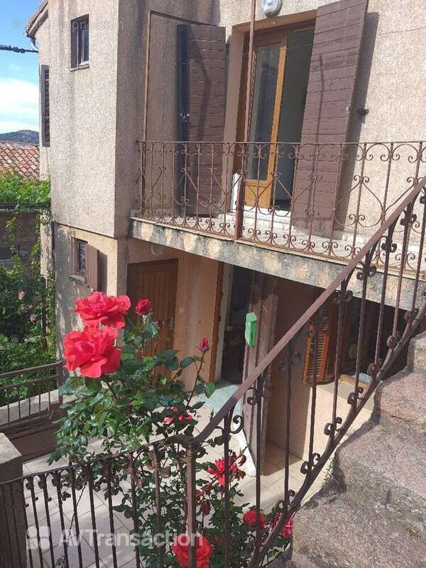 Maison à EVISA