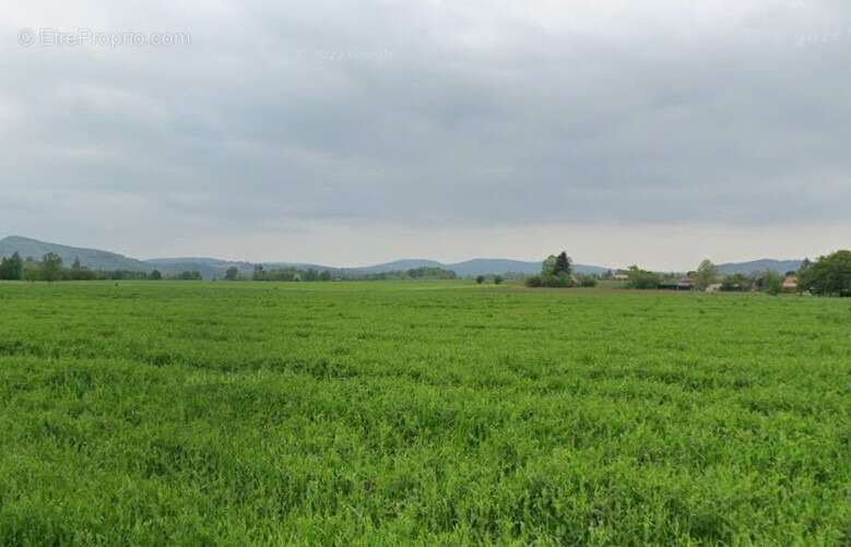 Terrain à MAZERES-SUR-SALAT