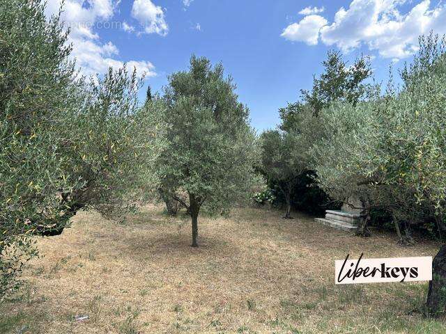 À vendre – Élégante propriété avec piscine et oliveraie à deux pas du magnifique village de Cotignac - photo 18