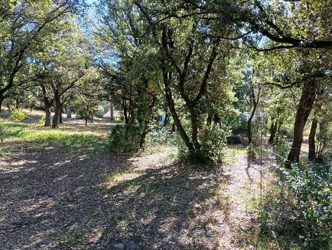Mas en pierres mitoyen proche Anduze sur terrain constructible de 3300 m2 - photo 12