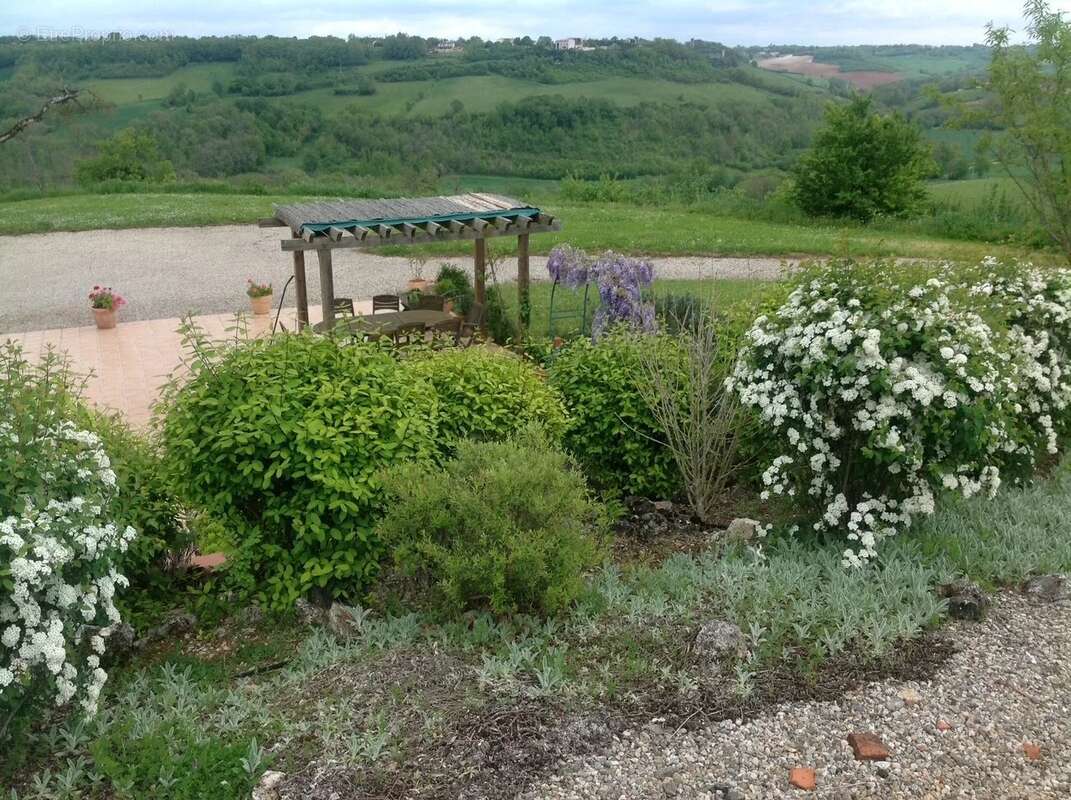 Deux maisons de caractère près de Cordes-sur-Ciel avec piscine et vues panoramiques - photo 17