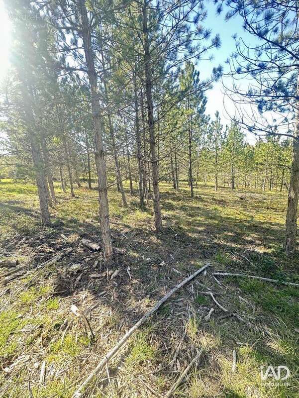 Photo 4 - Terrain à MOLLANS-SUR-OUVEZE