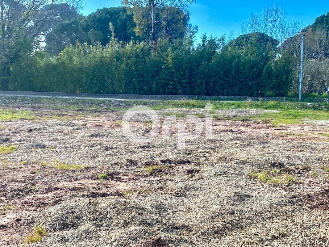 Terrain à PUGET-SUR-ARGENS