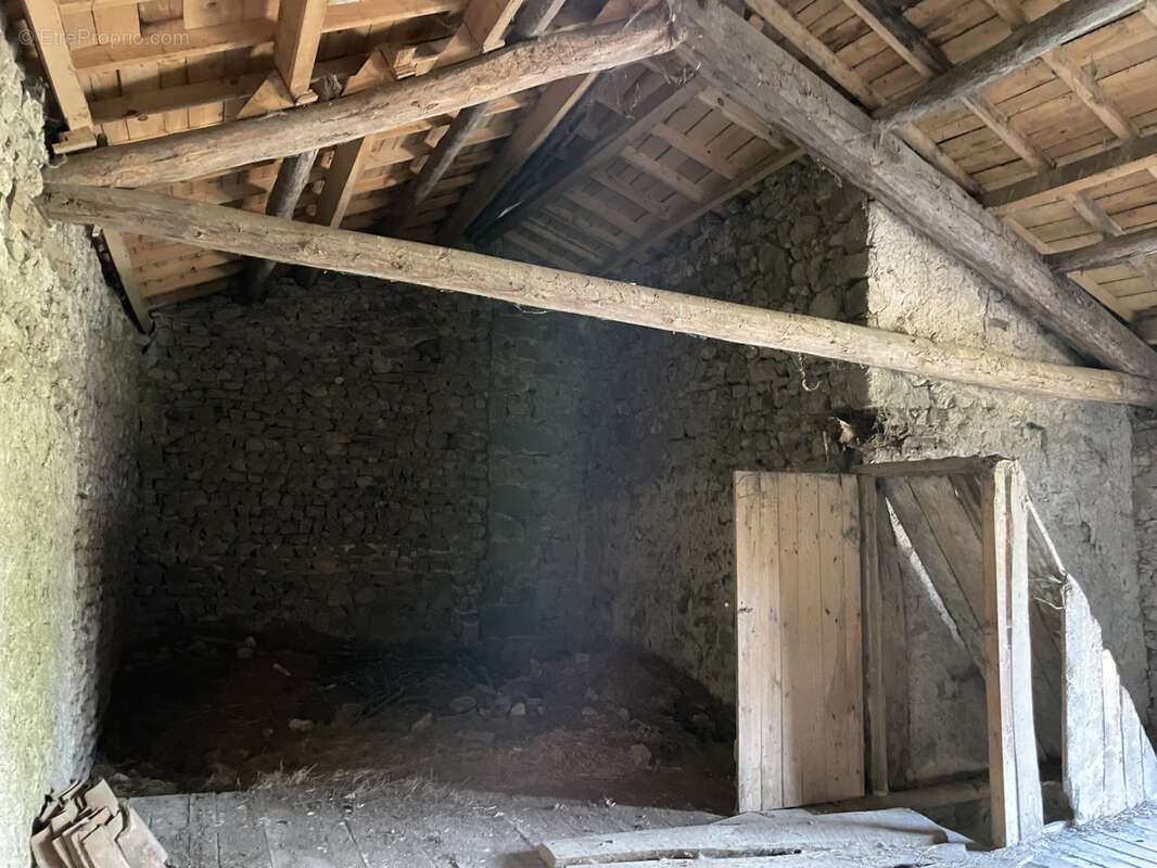 Maison en pierre avec exterieur - photo 10