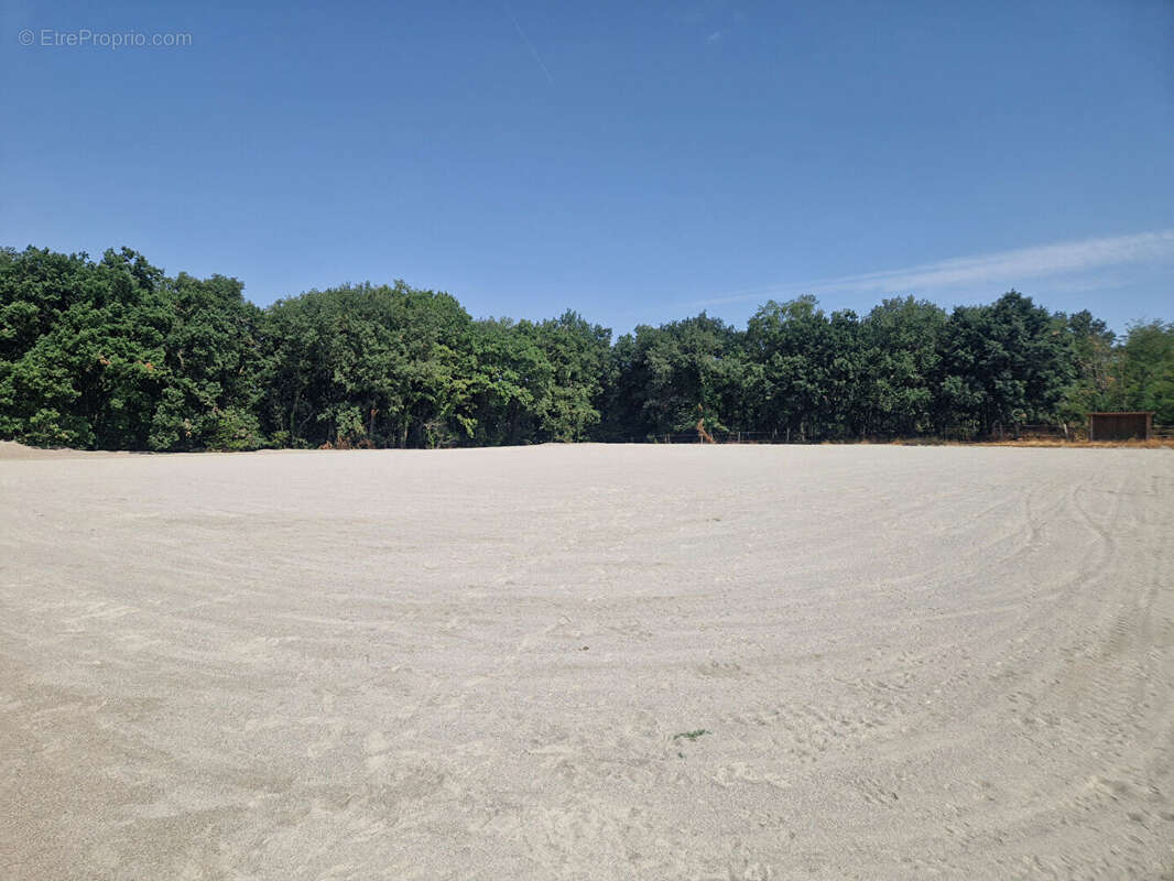 Centre équestre avec maison d'habitation, sur 16Ha - photo 11