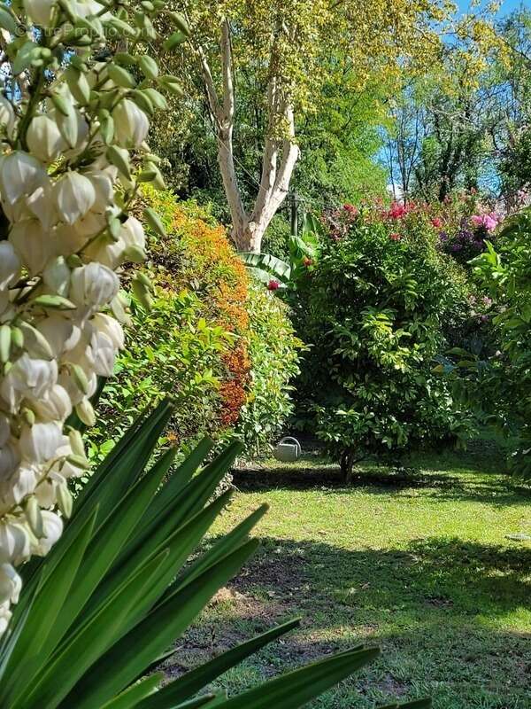 Maison à LABASTIDE-D&#039;ARMAGNAC