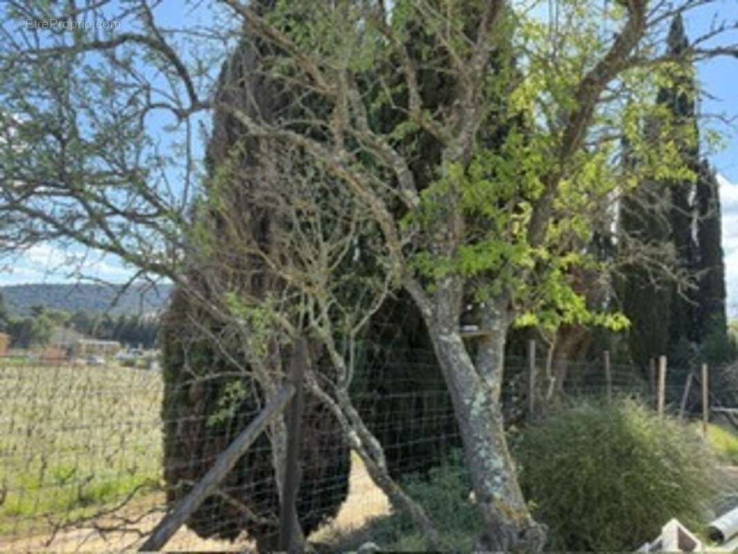 Bungalow 22 M2, deux chambres, su 410m2 de terrain, village proche de Durban - photo 33