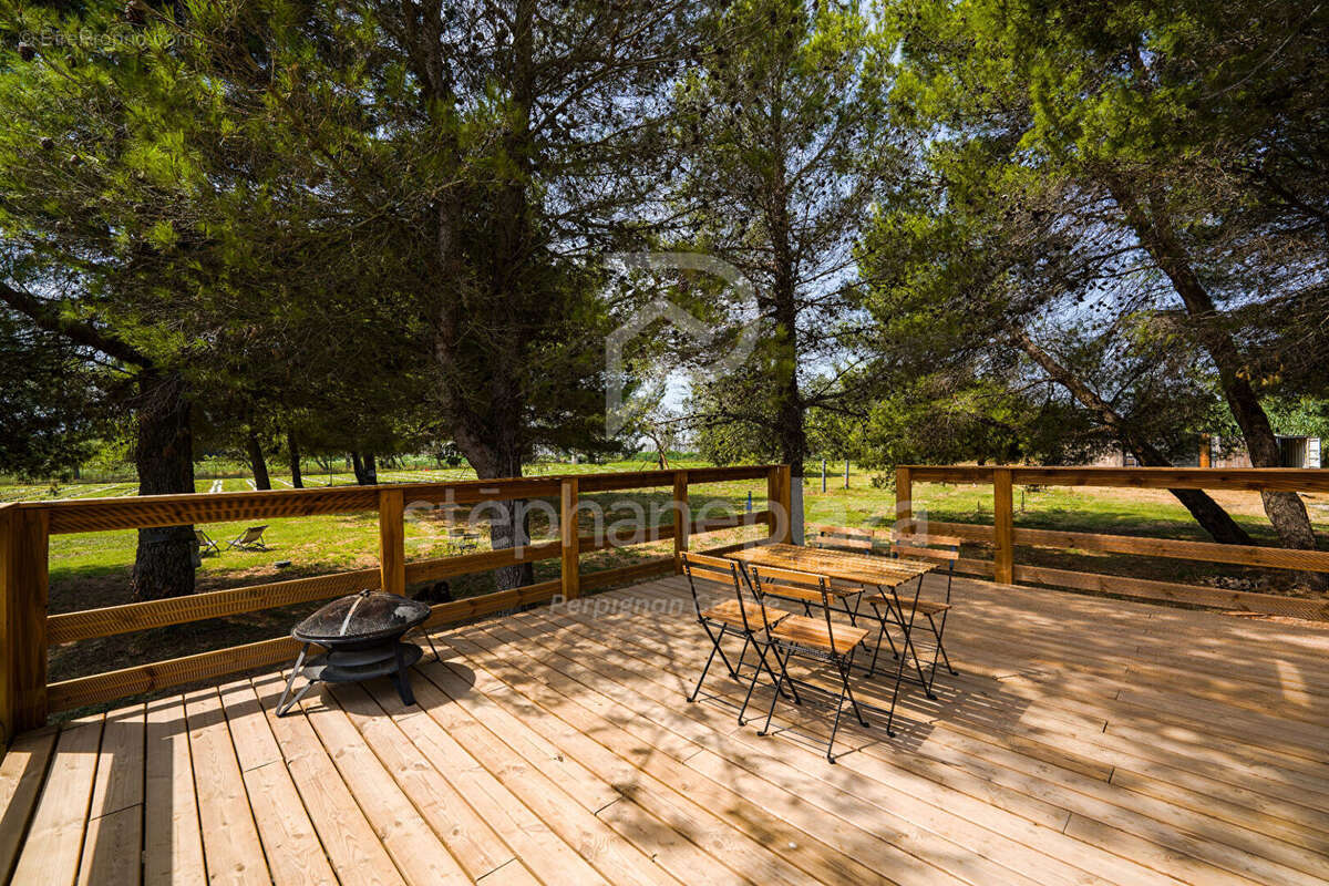 Propriété agricole de 19000m2 sur Saint Cyprien - photo 16