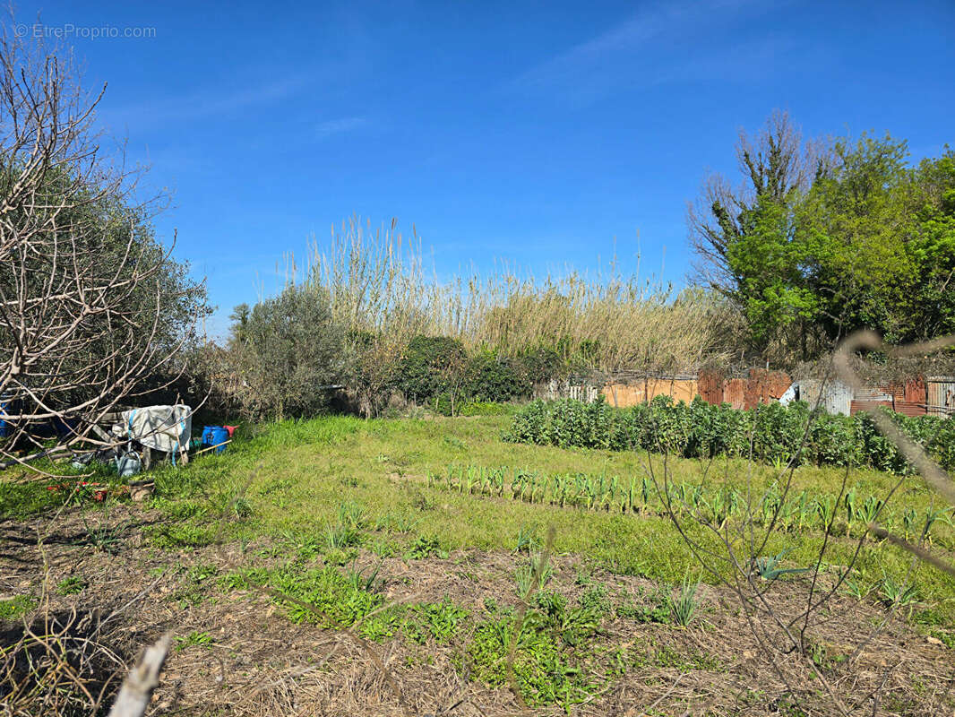 Terrain à ARGELES-SUR-MER