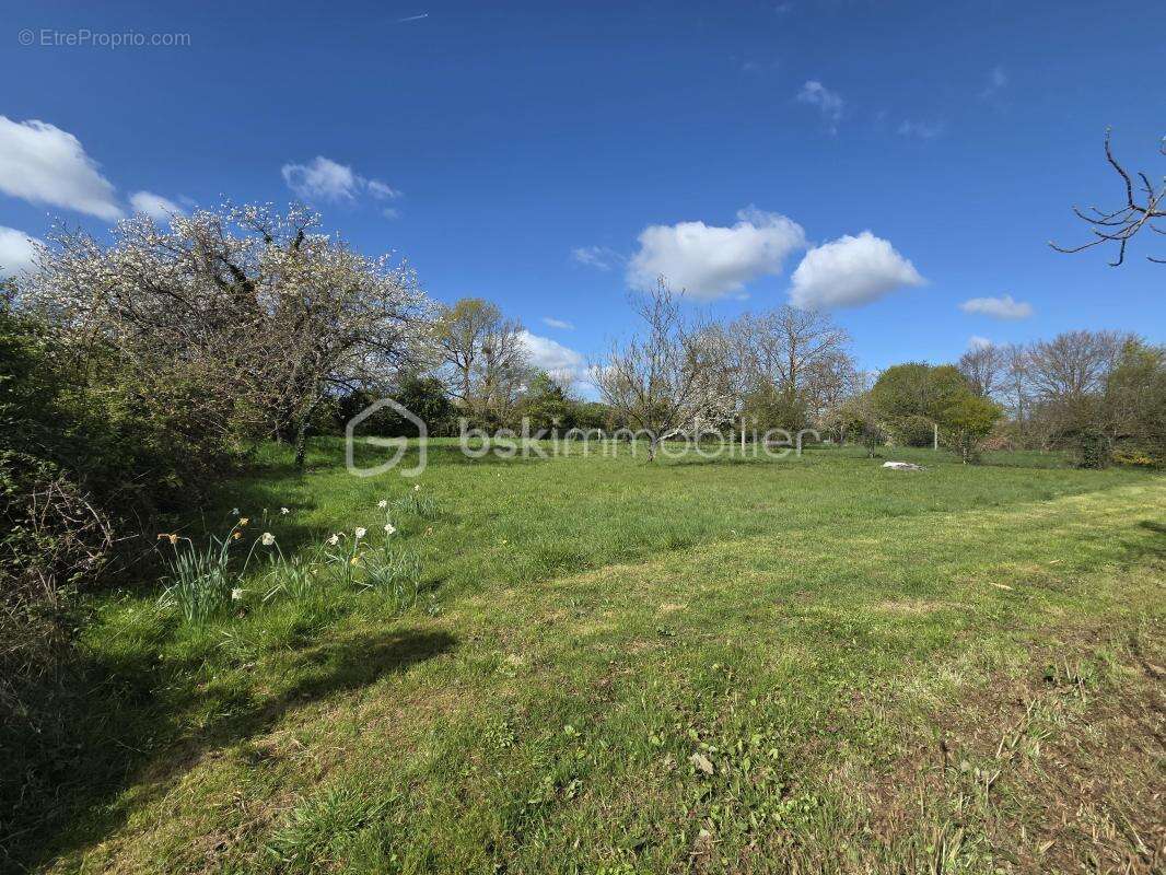 Ensemble immobilier à fort potentiel – calme, verdure et multiples dépendances - photo 27