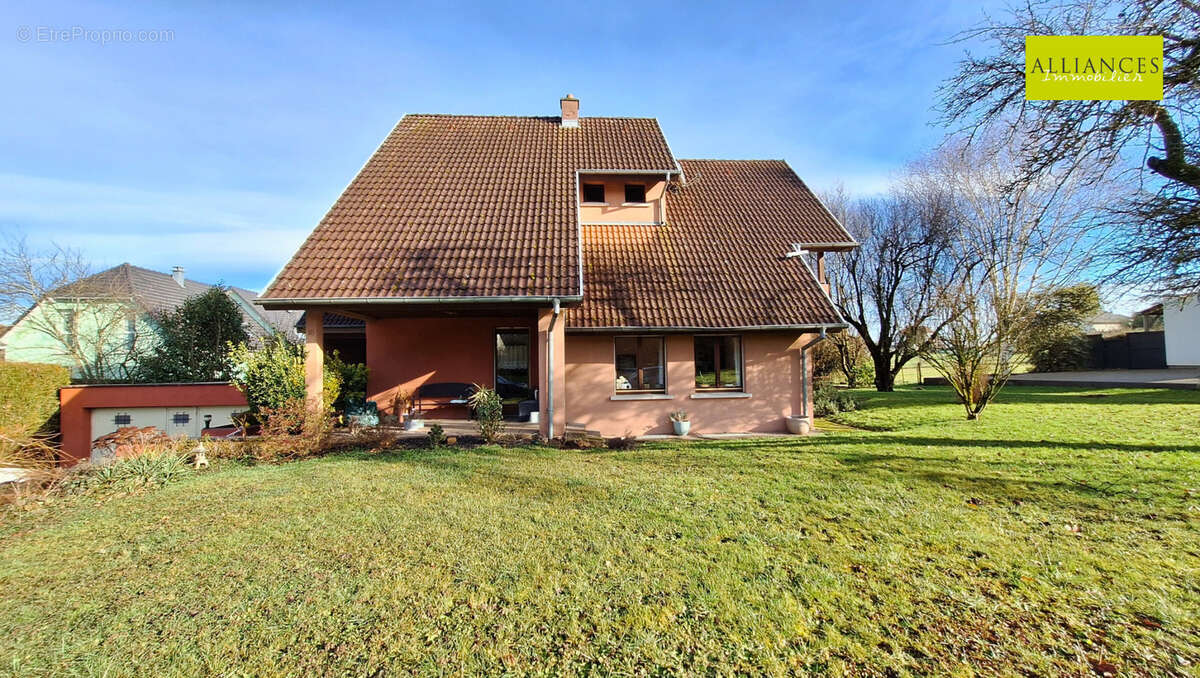 Maison à DANNEMARIE