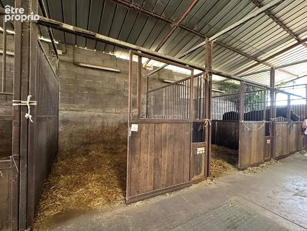 Centre equestre avec manege couvert et cabinet d'equitherapie - photo 6