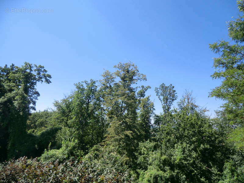 Appartement à COYE-LA-FORET