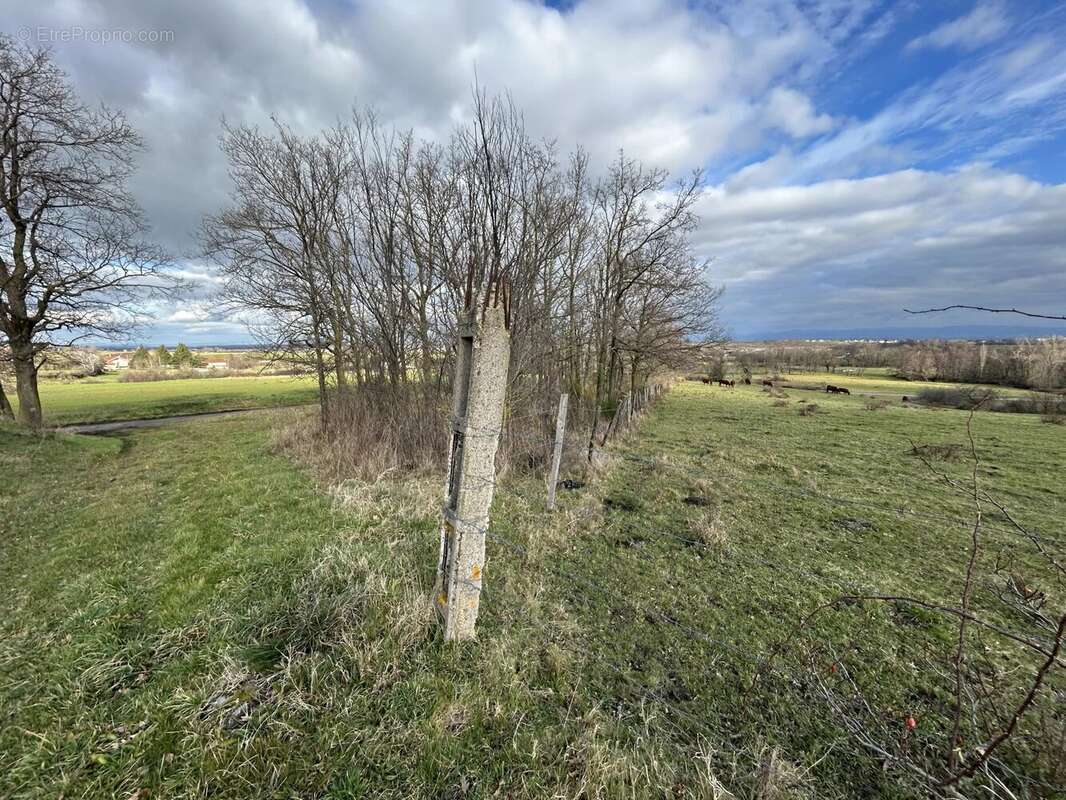 Terrain à MONTBRISON