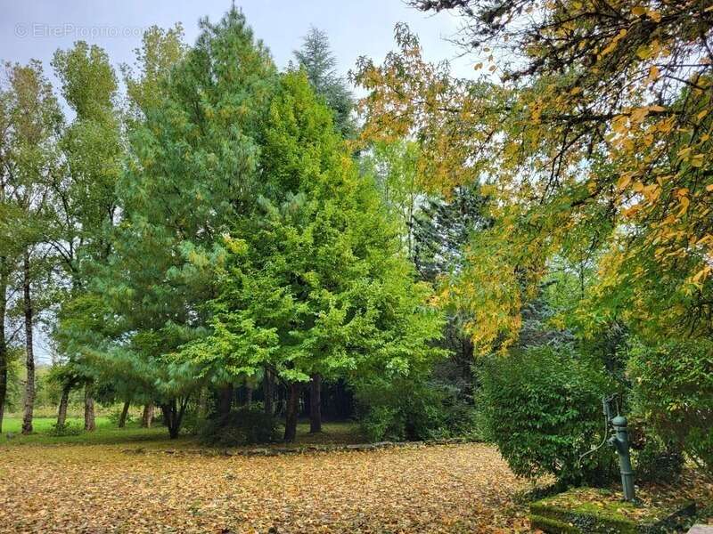 Maison à FRESSELINES