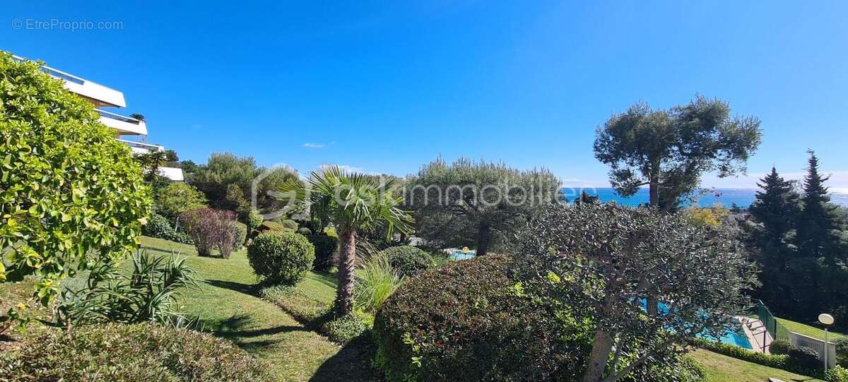 Studio rez de jardin dans une bel résidence le Saphir vue mer ,calme, piscine, parking ,cave - photo 5