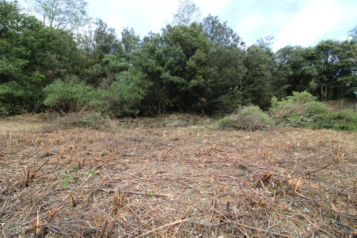 Terrain à LES PLANTIERS
