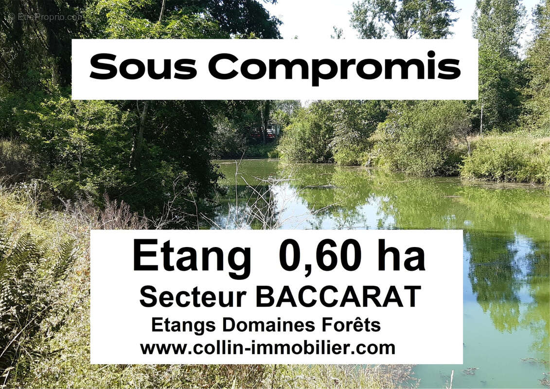 Terrain à BACCARAT