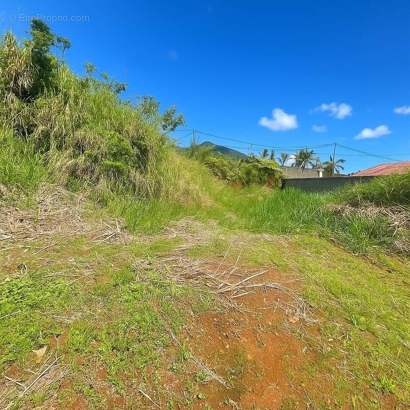 Terrain à SAINT-LOUIS