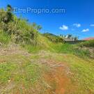 Terrain à SAINT-LOUIS