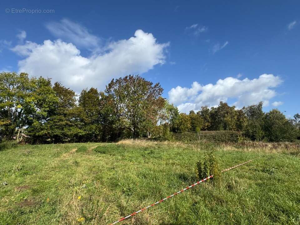 Terrain à MONCHEAUX