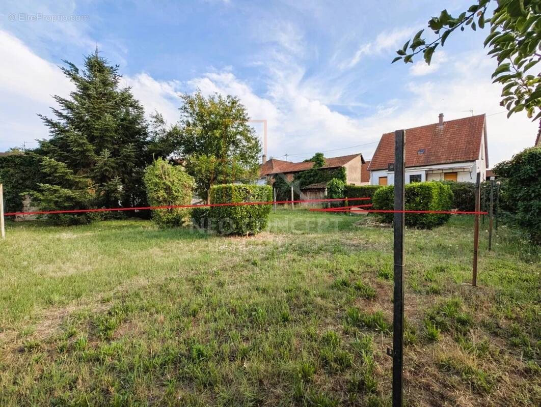 Terrain à KALTENHOUSE