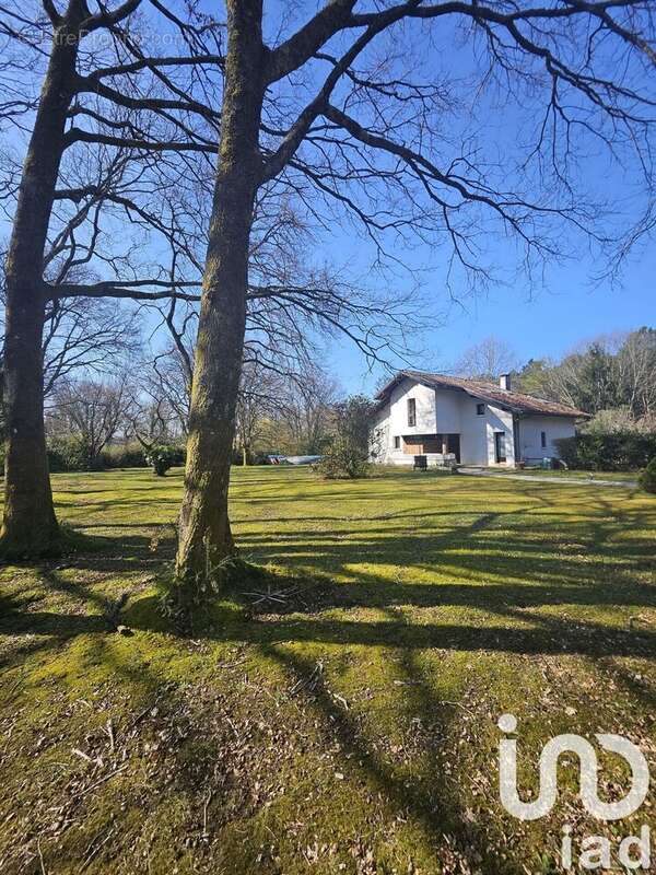 Photo 3 - Maison à SORT-EN-CHALOSSE