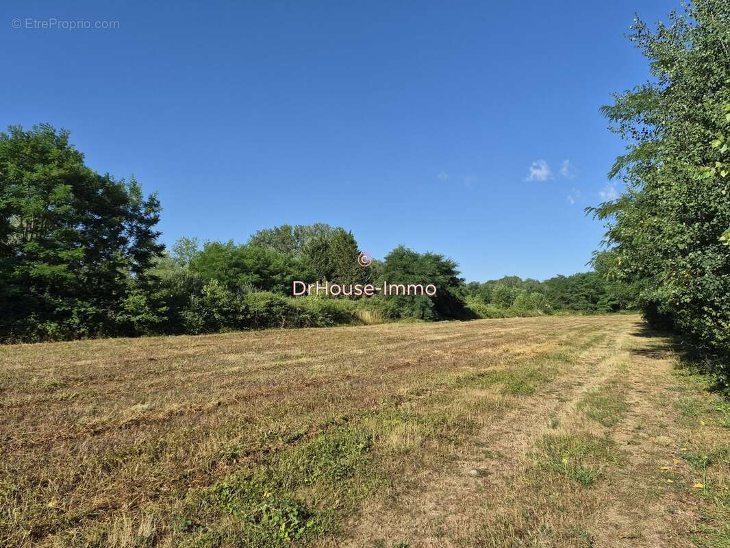 Terrain 23052 m² à Chichery  - photo 5