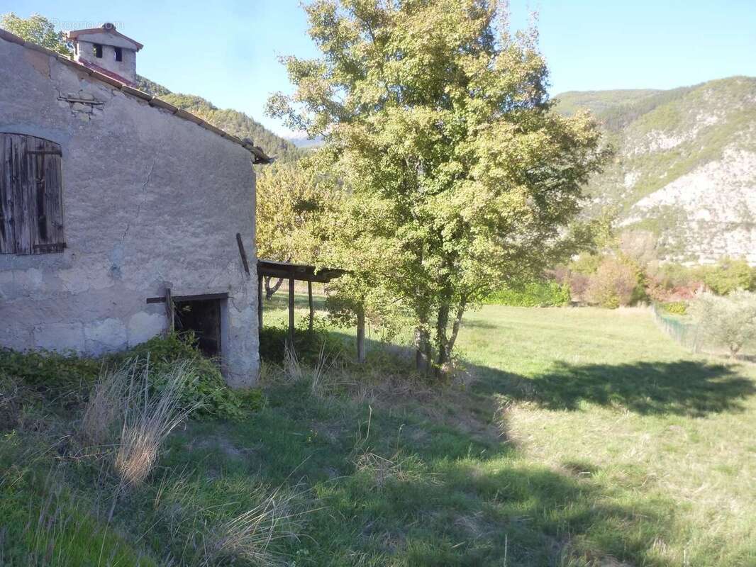Maison à ENTREVAUX