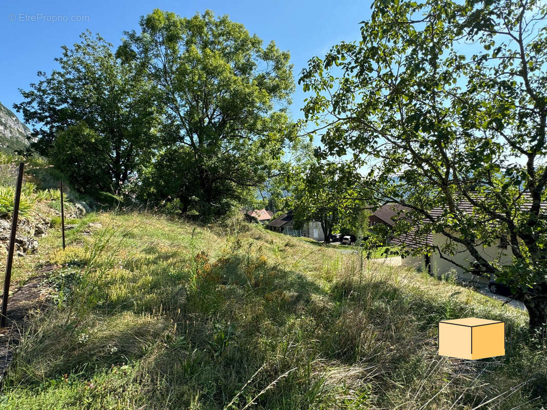 Terrain à CHINDRIEUX