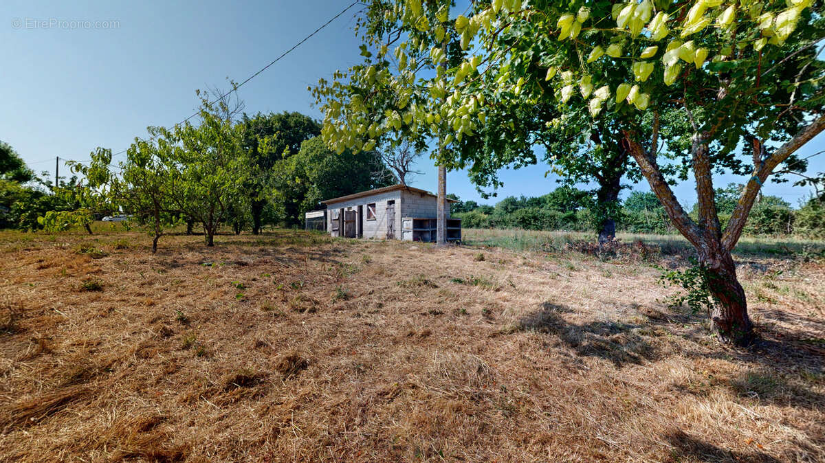 Longère de 146m2 avec dépendances sur 2 hectares. - photo 13