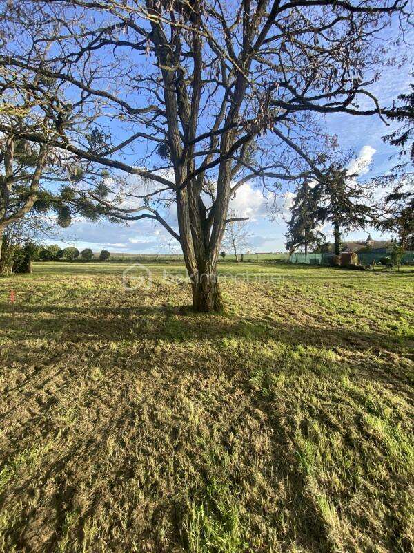 Maison à CHATEAUNEUF-EN-THYMERAIS