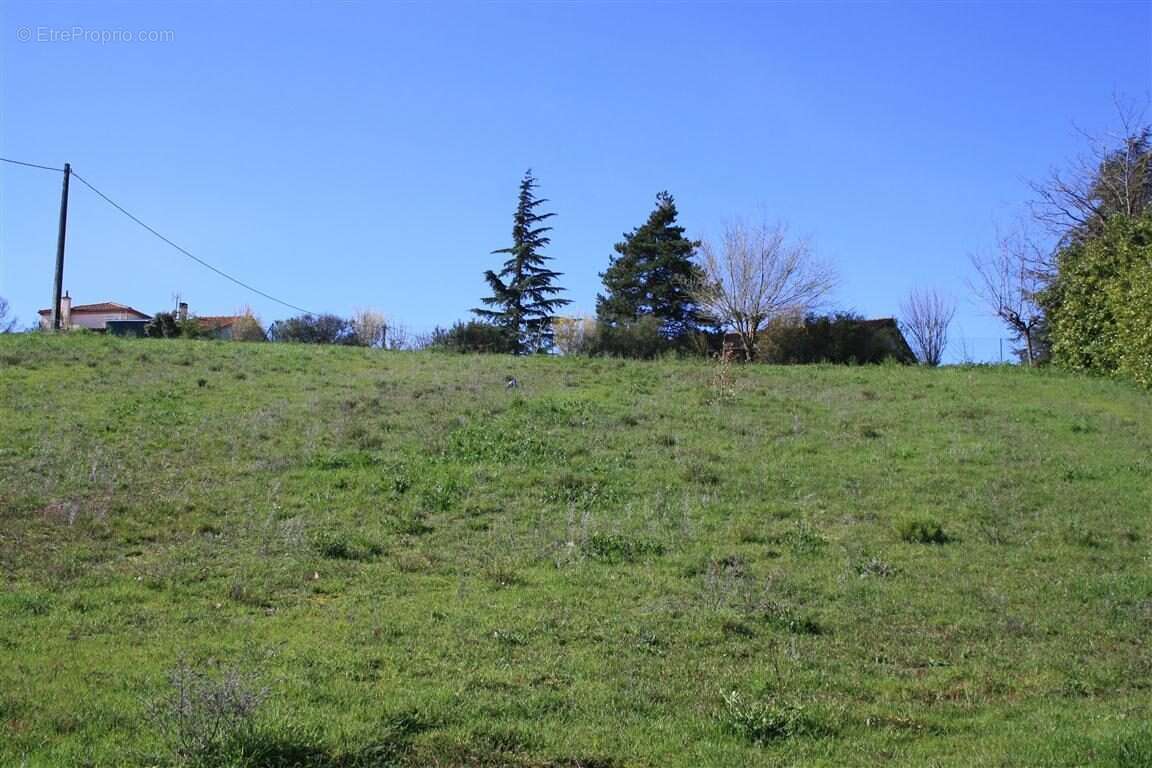 Terrain 2590 m² à Graulhet  - photo 2